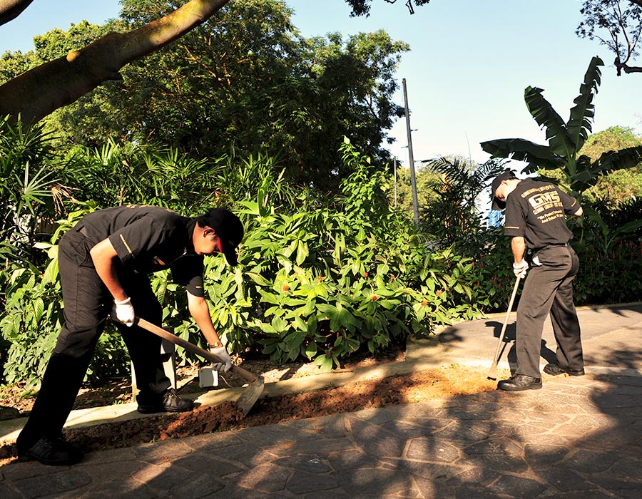 Hotel Cleaning Services | Hotel Landscaping Services | Pest Control Services Singapore
