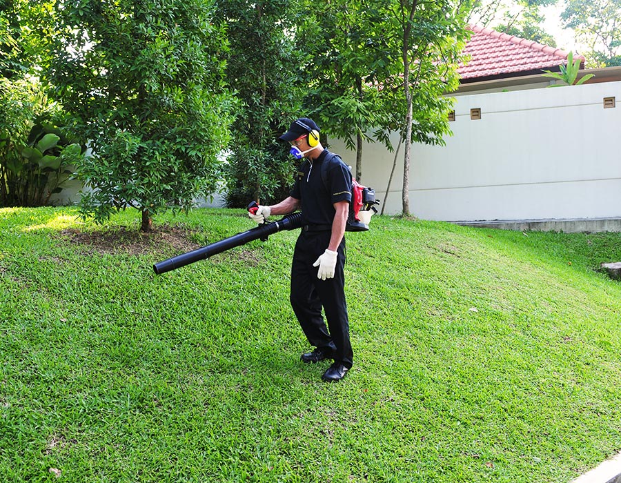 Hotel Cleaning Services | Hotel Landscaping Services | Pest Control Services Singapore