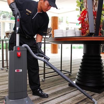 Carpet Cleaning 003