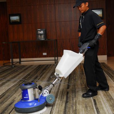 Carpet Cleaning 007