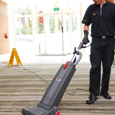 Carpet Cleaning