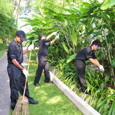 Gardening & Landscaping